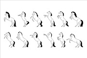 Horses Rearing Up, an Animal Illustration by Naurider (Thumbnail 2 of 4)