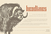 The Versatile Font Bundle, a Sans Serif Font by AlienValley (Thumbnail 107 of 141)