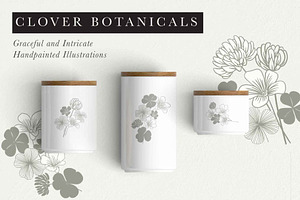 Clover Botanicals - Florals & Leaves