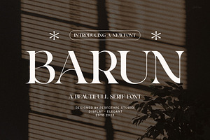 Barun Elegant Serif Font Typeface