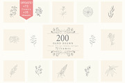 Hand Drawn Floral Elements. Frames, a Seasonal Illustration by Designwork (Thumbnail 1 of 22)