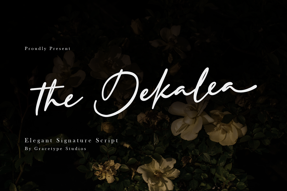 Dekalea | Elegant Signature Script, a Script Font by gracetype_studio (Photo 1 of 12)