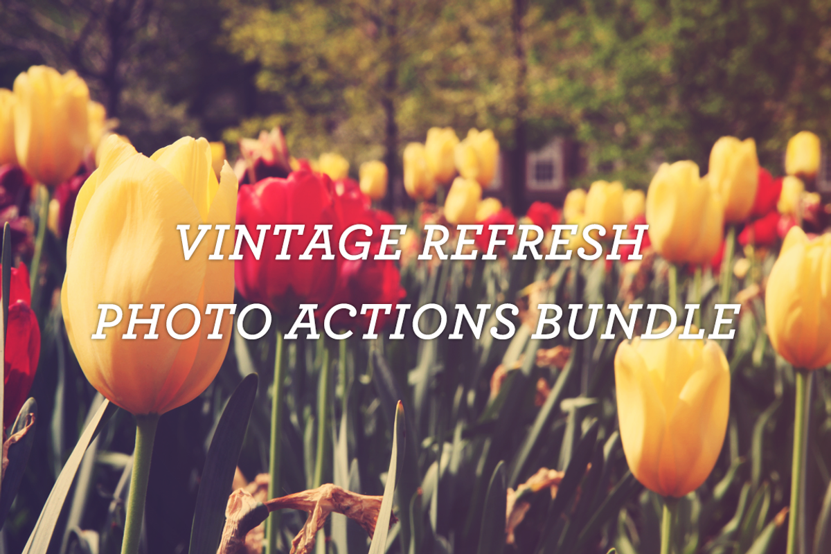Vintage Refresh Photo Actions Bundle, an Action Add-On by Mike Moloney (Photo 1 of 5)
