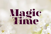 Hallie - Bold Classic Font, a Serif Font by Gleb Guralnyk (Thumbnail 4 of 6)