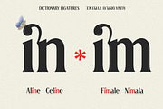 Elnaks Modern Serif Display, a Serif Font by Luna Shop (Thumbnail 6 of 9)