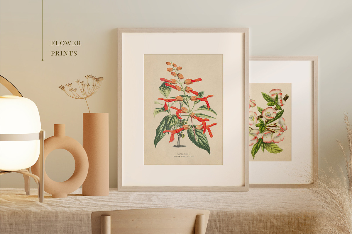 BUNDLE: 200 Vintage Art Prints, a Decorative Illustration by The Object Atlas (Photo 13 of 22)