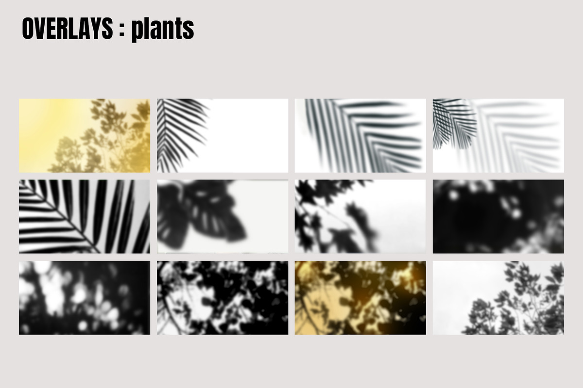 Golden Hour Ultimate Bundle, an Action Add-On by Design Aesthetic (Photo 10 of 11)
