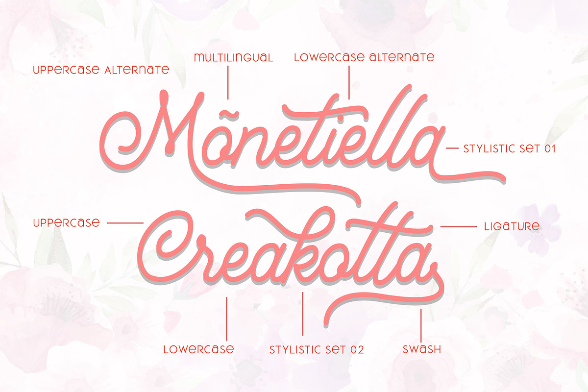 Mountecarlo-Beautiful Monoline preview 4