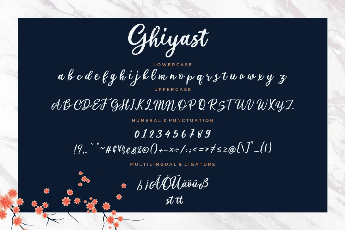 Ghiyast Calligraphy Business Font preview 7