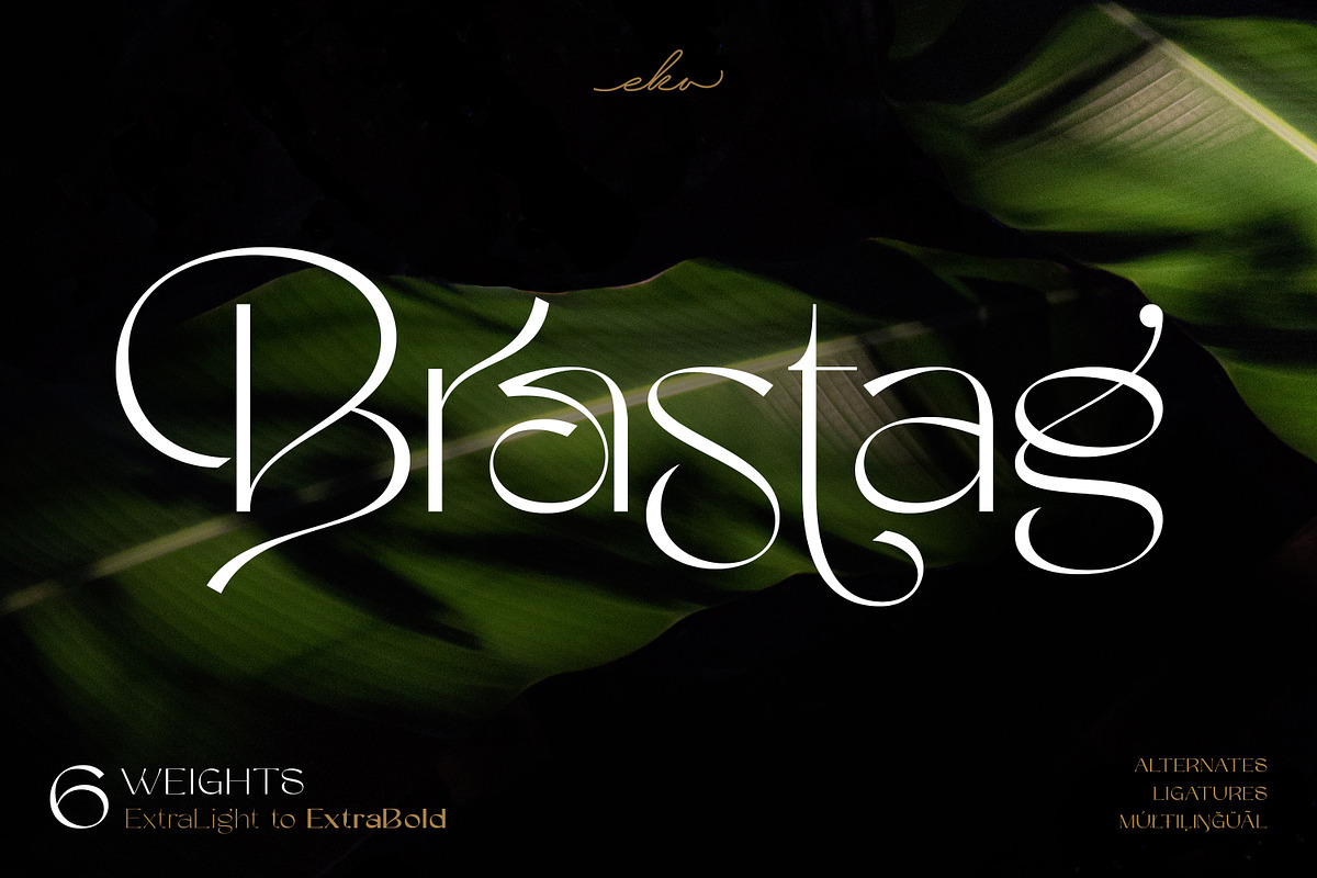 Brastag | Display Family Font, a Sans Serif Font by Ekahermawan (Photo 1 of 11)