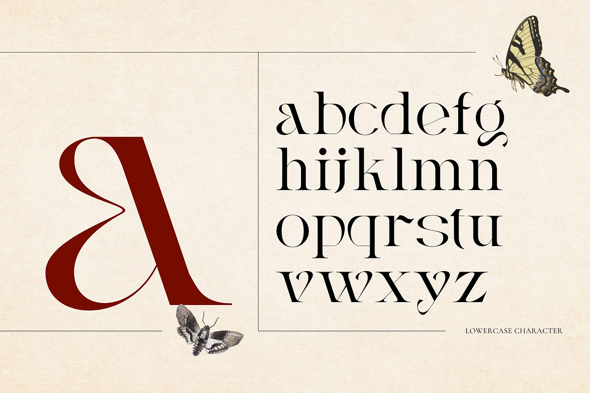 Vintage Agriqy - Modern Logo Serif, a Serif Font by Nirmana Visual (Photo 2 of 6)