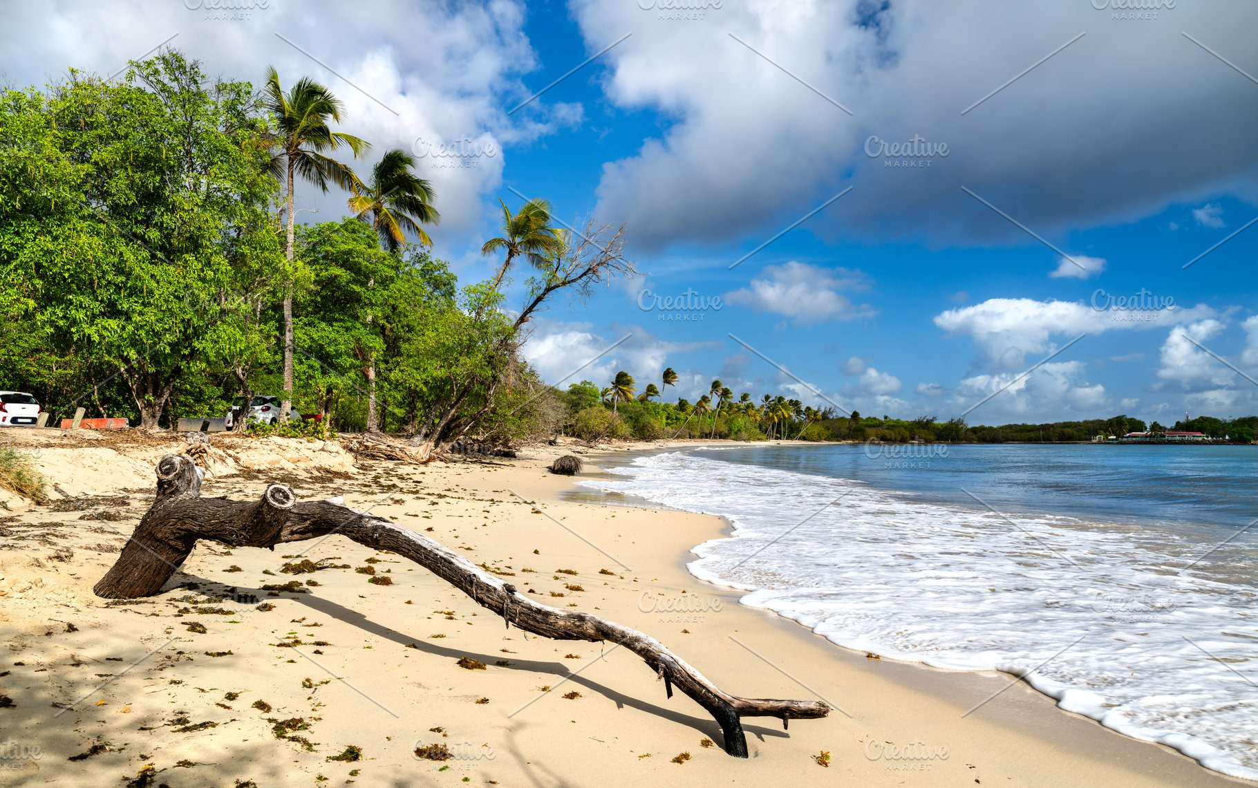 Plage des Salines beach in Sainte Anne, Martinique, a Nature Photo by Leonid Andronov