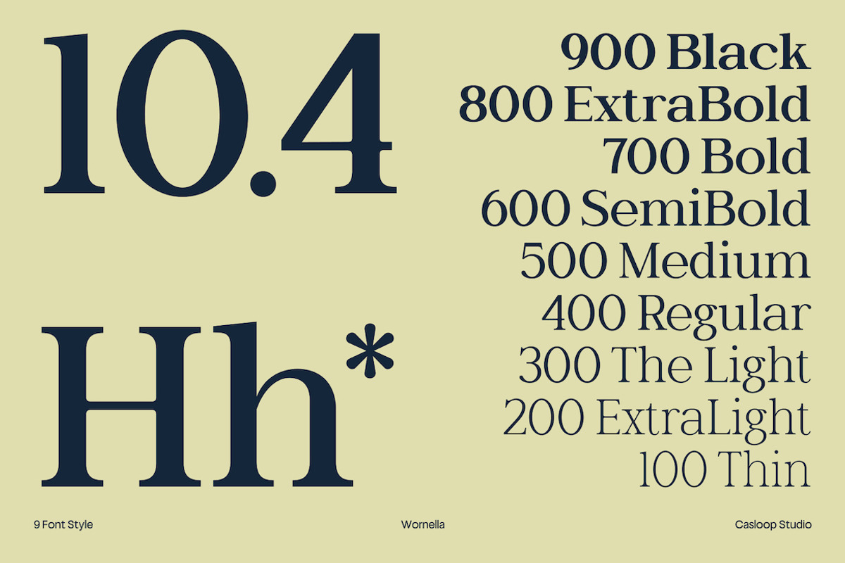 Wornella – Luxury Modern Serif, a Serif Font by Casloop Studio (Photo 9 of 10)