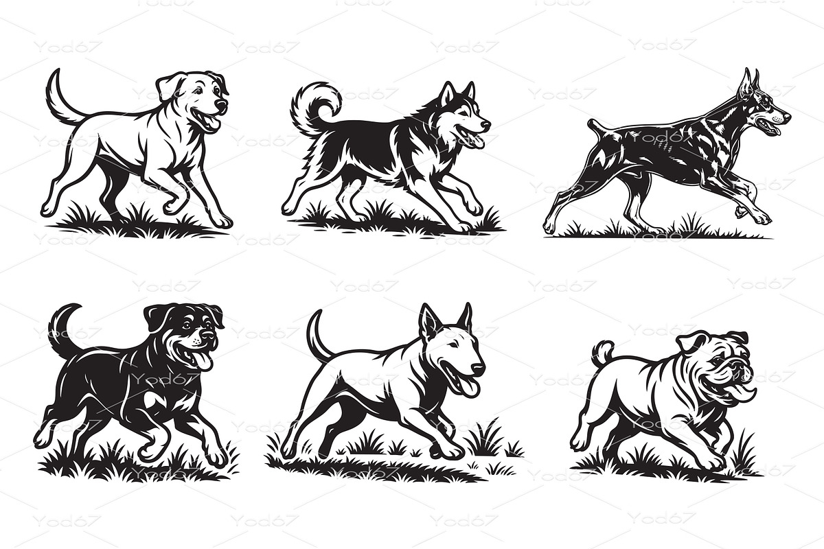 Vector set featuring six popular dog, an Animal Illustration by yod67
