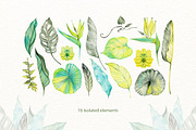 Delicate Tropics Watercolor Clipart, a Decorative Illustration by NataliMiasStore (Thumbnail 2 of 7)