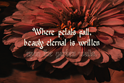 Nowdart | Blackletter Typeface, a Font by Denustudios (Thumbnail 4 of 12)