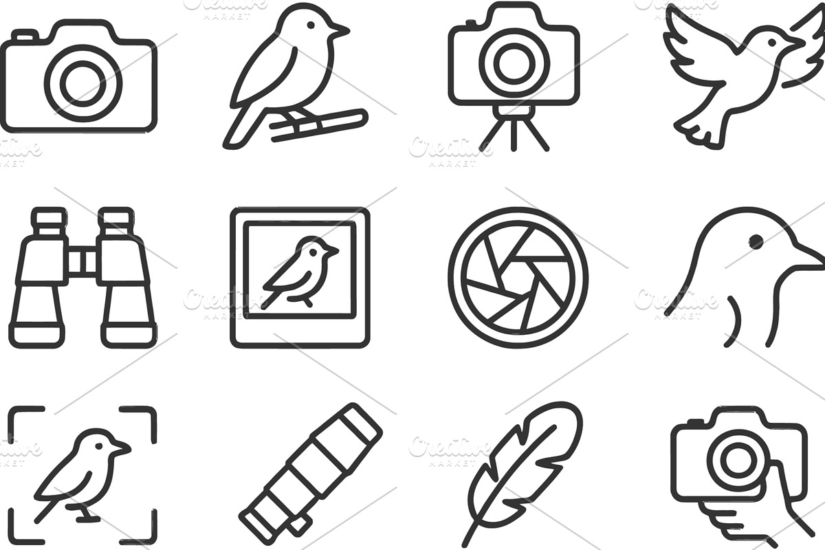 Stylized line icons depicting nature, an Illustration by ZinetroN