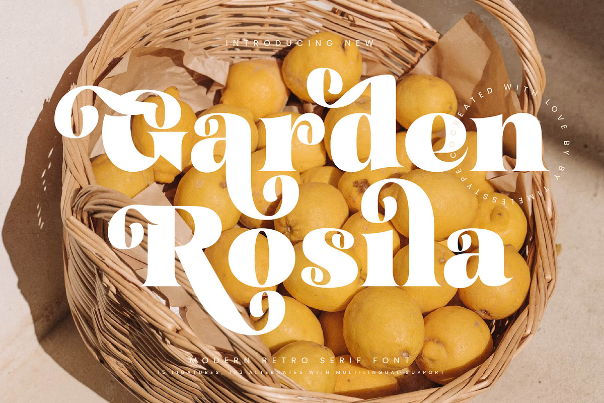 Garden Rosila Modern Retro Serif, a Serif Font by timelesstype.co (Photo 1 of 20)