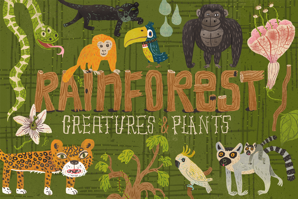 21 Rainforest Creatures & Plants, an Animal Illustration by Stephanie K. Birdsong (Photo 1 of 4)