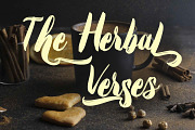 Emphasize hand brush script, a Script Font by SSI.Scraps (Thumbnail 10 of 20)