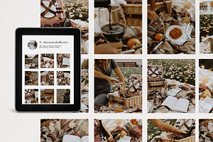 Autumn Picnic Stock Photo Bundle