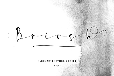Briosh, a Script Font by Larin Type Co.