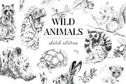 Wild animals. Sketch edition. 22 PNG, an Animal Illustration by Art by Lady Natali (Thumbnail 1 of 6)