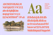 Elinkos Bold Tall Serif, a Serif Font by timelesstype.co (Thumbnail 6 of 10)