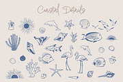 Hand Drawn Summer Illustration Set, an Object Graphic by Wild and Wonder by Ana (Thumbnail 7 of 17)
