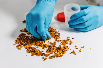 Dehydrated royal jelly analyzed in a