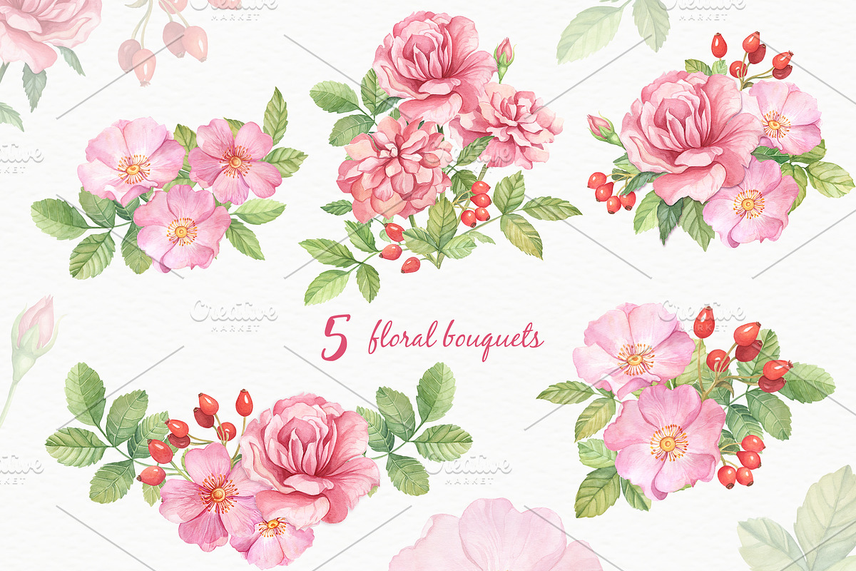 Wild Roses Watercolor Set, a Decorative Illustration by Irina Diasli (Photo 5 of 9)