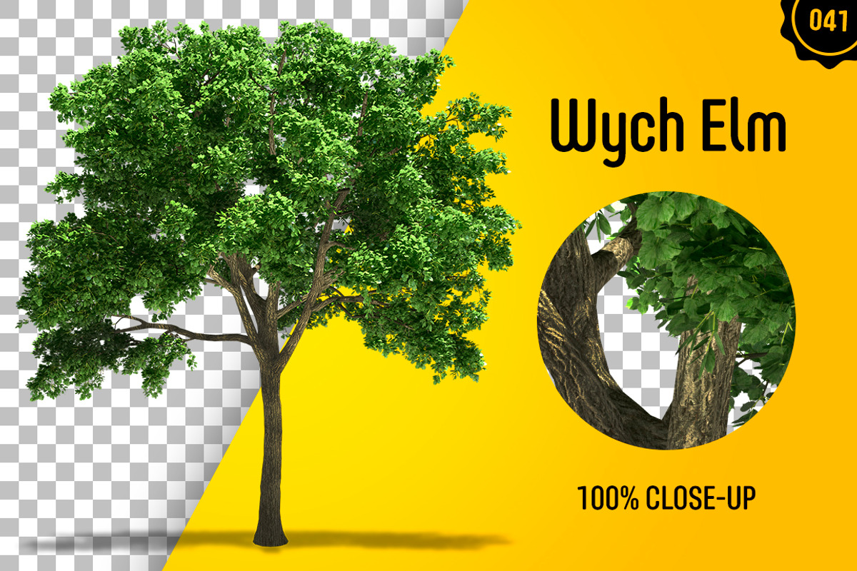 CUT OUT TREES - 60 PCS BUNDLE, a Packaging Mockup by 3DSTORE (Photo 42 of 63)