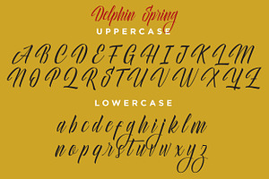 Delphin Spring - Vintage Script