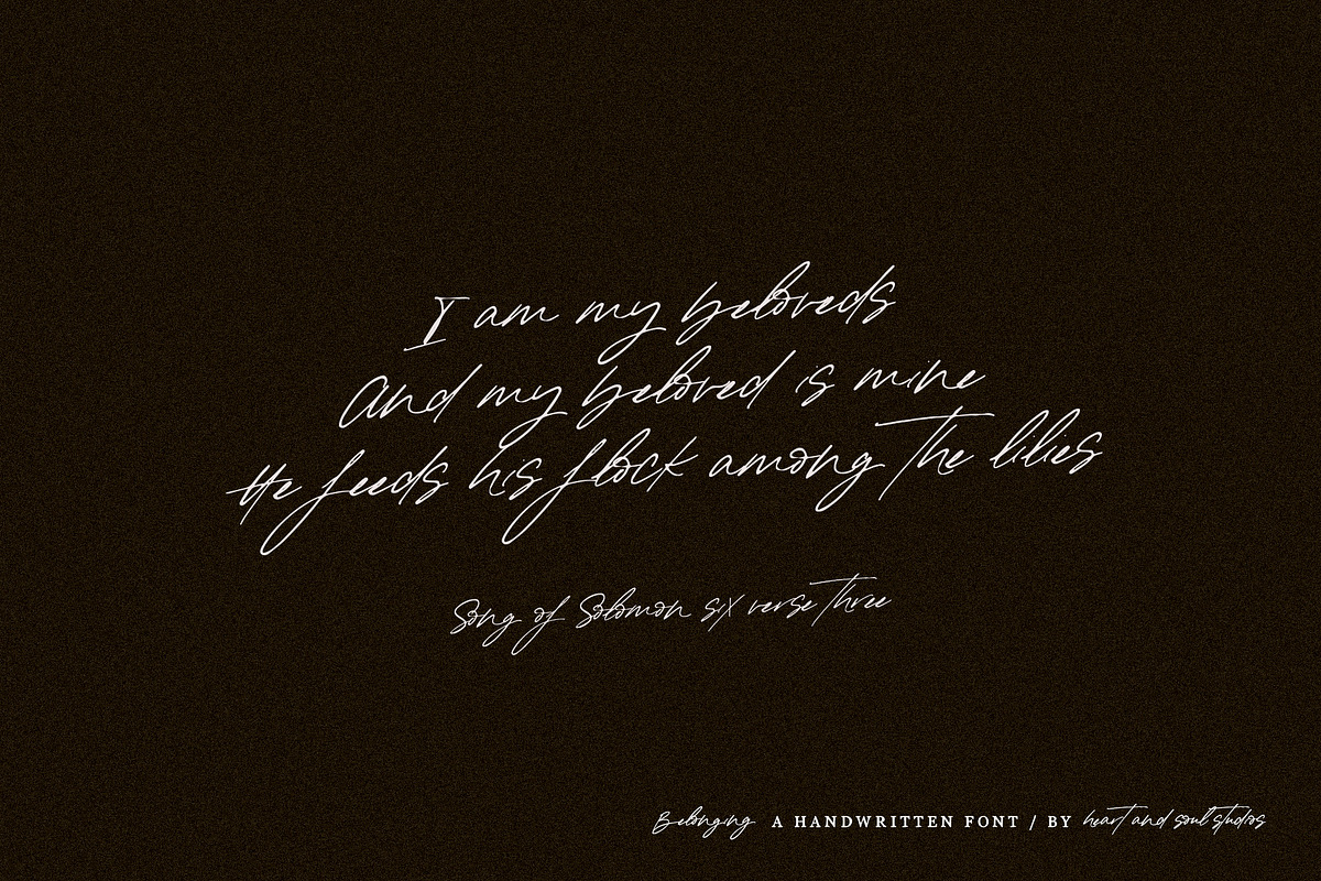 belonging | a handwritten font, a Script Font by Heart + Soul Studios (Photo 2 of 12)