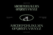 Central Display, a Serif Font by Prioritype Co (Thumbnail 8 of 10)