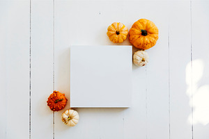 Empty picture frame autumn pumpkin, a Holiday Photo by hitdelight