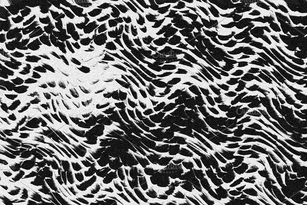 Scales and Fur, a Texture Graphic by Jennifer Lauren Creative (Photo 26 of 26)