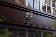 Elegant Dental Tree Logo, a Branding & Logo Template by HueNestify (Thumbnail 3 of 3)