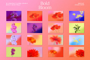 Bold Bloom – Floral Backgrounds, a Background Graphic by StudioMorf (Thumbnail 14 of 14)
