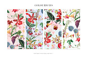 Exotic Orchids, Prints & Motif!, a Pattern Graphic by TSTUDIO (Thumbnail 3 of 10)