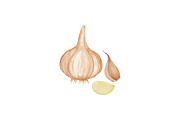 Spices, Herbs Watercolor PNG Clipart, a Healthcare Illustration by Awieee1 (Thumbnail 3 of 3)