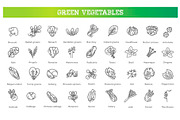 Green Salad Leaves. Vector icons, a Food Illustration by Tettygreen (Thumbnail 1 of 3)