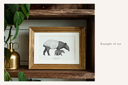 Mother & Baby Tapir Illustration, an Animal Illustration by LaurenFittonIllustration (Thumbnail 3 of 6)