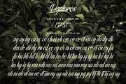 Olivelifes Script Font, a Script Font by alit design (Thumbnail 12 of 15)