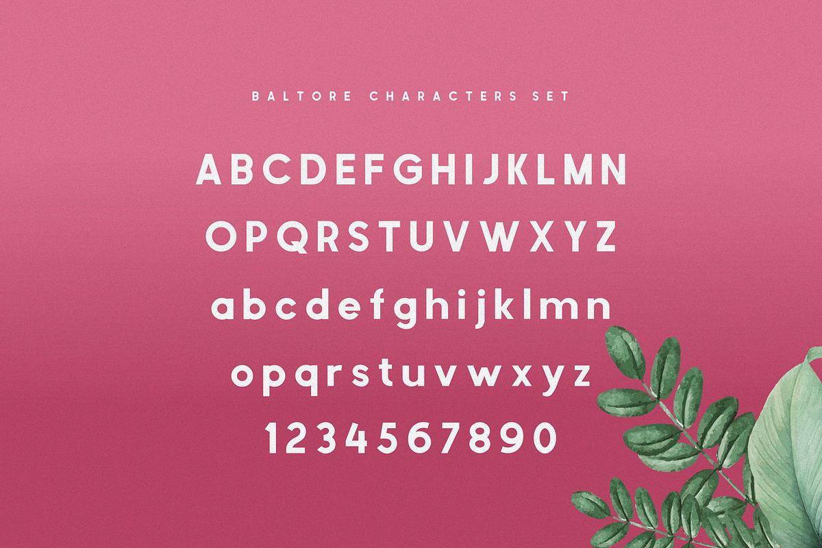 Baltore preview 6