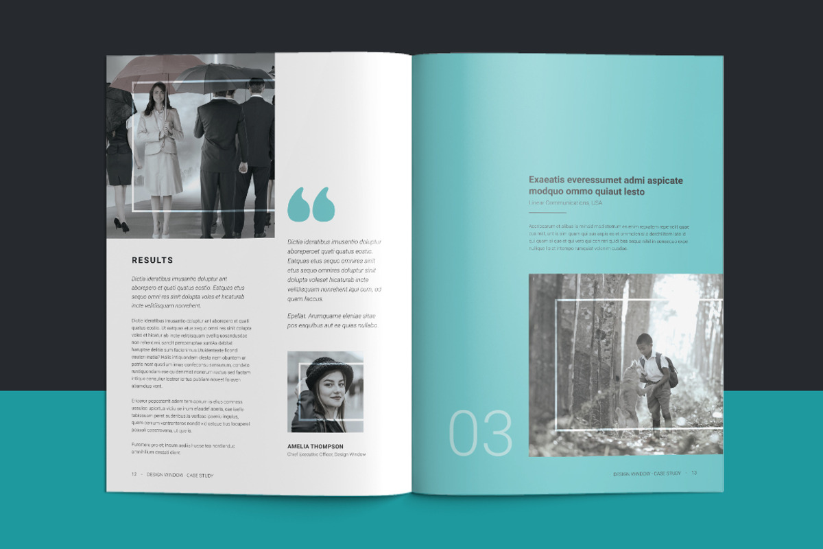 Case Study Booklet, a Brochure Template by DesignJanala (Photo 7 of 11)