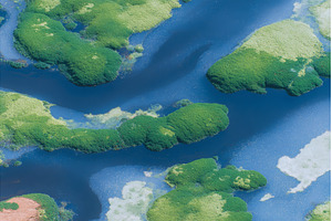 The image of a beach with green, a Nature Photo by ZinetroN