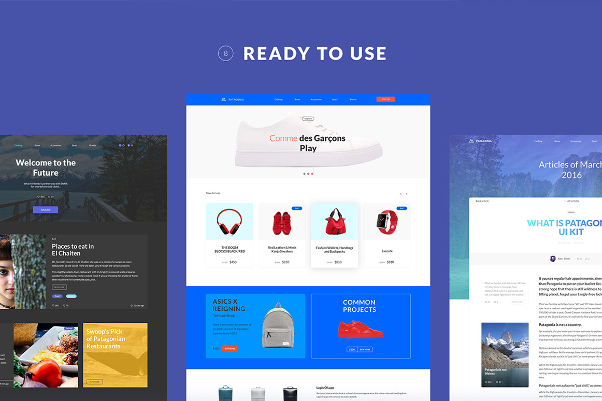 Patagonia UI Kit, an UI Kit Template by kohalov (Photo 4 of 8)