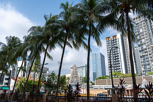 Sri Srinivasa Perumal Temple surrounded by buildings and palm tr, an Architecture Photo by GoodGoods