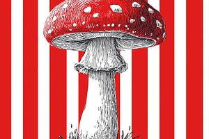 Red mushroom with white spots, a Nature Photo by MistyDay